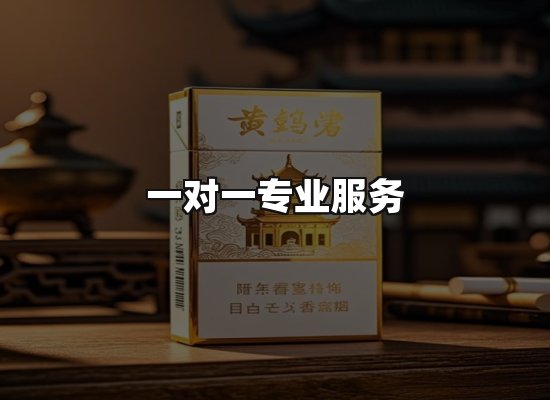 专业优势